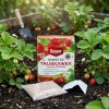 Nawóz do truskawek malin i poziomek z mikroelementami – 1 kg Target