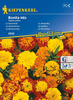 Aksamitka 'Bonita' – Mix Nasion – Kiepenkerl