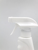 Preparat Na Pchły – Stop Owadom Domowym – 550 ml Asplant