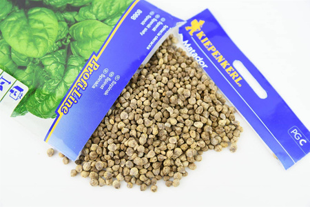 Szpinak 'Matador' – Mrozoodporny – Kiepenkerl