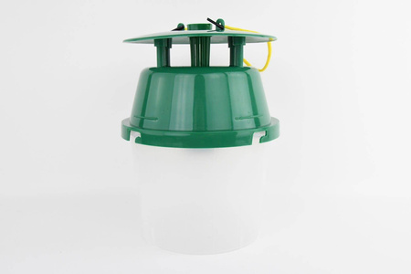 Pułapka Feromonowa Na Ćmę Bukszpanową