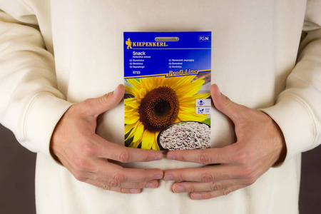 Słonecznik Zwyczajny 'Snack' – Kiepenkerl
