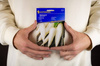 Rzodkiewka 'Rampouch' – Kiepenkerl