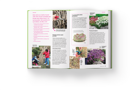 Książka Szkoła Cięcia – Rośliny Ozdobne – Lucyna i Alicja Grabowska