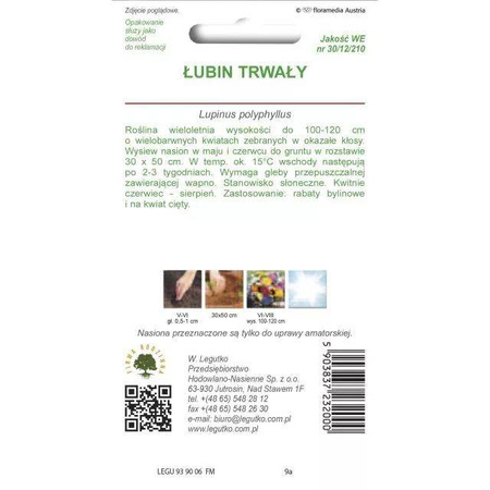  Łubin Trwały – Mix Kolorów – Legutko