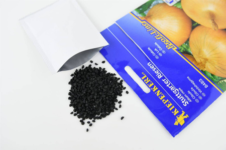 Cebula 'Stuttgarter Riesen' – Nasiona Kiepenkerl