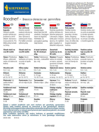 Brukselka 'Roodnerf' – Nasiona Kiepenkerl