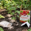 Nawóz do truskawek malin i poziomek z mikroelementami – 1 kg Target