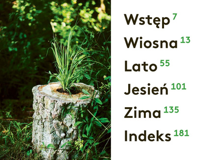 Pomysłowy ogrodnik. 70 sprytnych i przyjaznych dla środowiska pomysłów do ogrodu