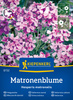Wieczornik damski Matronenblume - Nasiona - Kiepenkerl