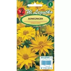 Słoneczniczek – Legutko