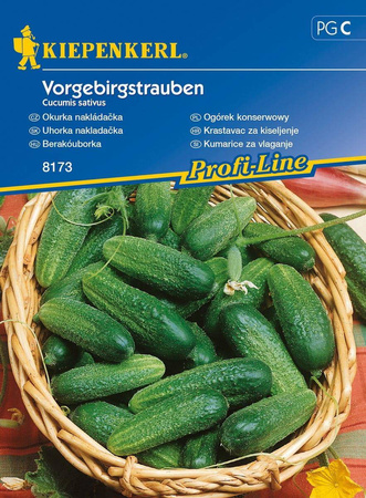 Ogórek 'Vorgebirgstrauben' – Konserwowy – Kiepenkerl