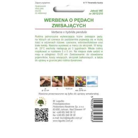 Werbena o Pędach Zwisających – 0,3 g Legutko