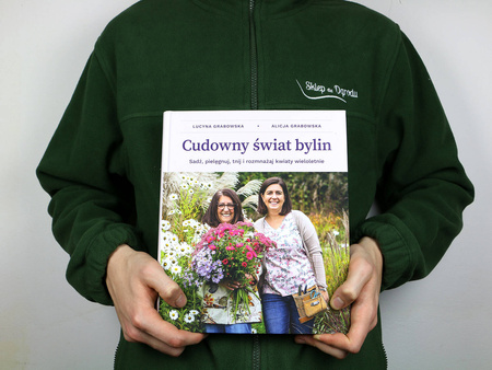 Książka Cudowny Świat Bylin – Lucyna i Alicja Grabowska