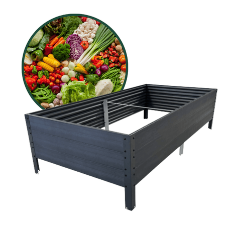 Warzywniak – podwyższana grządka – szary GPPS 150 x 75 x 30 cm Vegano