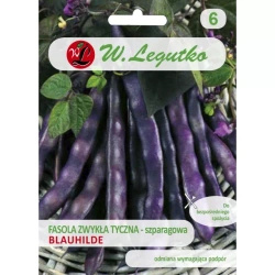 Fasola Szparagowa Fioletowa Blauhilde 10 g Legutko