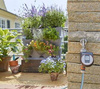Ogród Wertykalny NatureUp! – Gardena