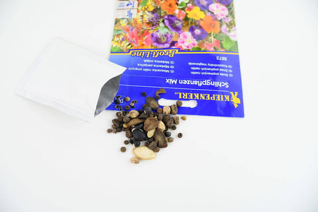 Kwiaty Pnące – Mix Nasion – Kiepenkerl