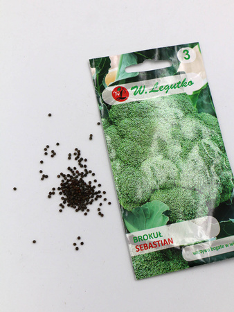 Brokuł 'Sebastian' – 2 g Legutko