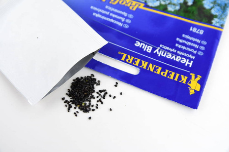 Niezapominajka 'Heavenly Blue' – Kiepenkerl