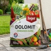 Dolomit w proszku – nawóz do odkwaszania gleby z mikroelementami – 10 kg Target