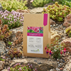 Symbivit mikoryza do kwiatów – 150 g Symbiom