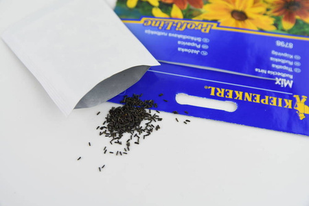 Rudbekia Owłosiona – Mix Nasion – Kiepenkerl