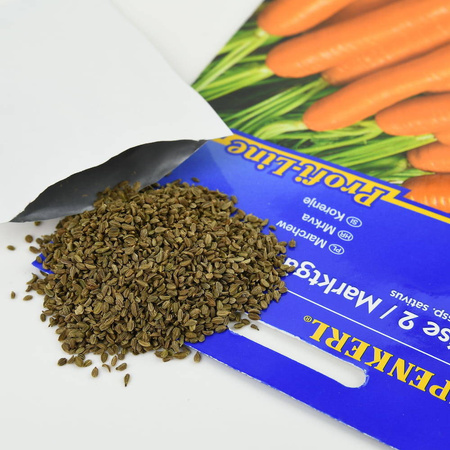 Marchew 'Nantaise 2' – Kiepenkerl