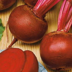 Burak ćwikłowy 'Rote Kugel 2' – Okrągły – Kiepenkerl