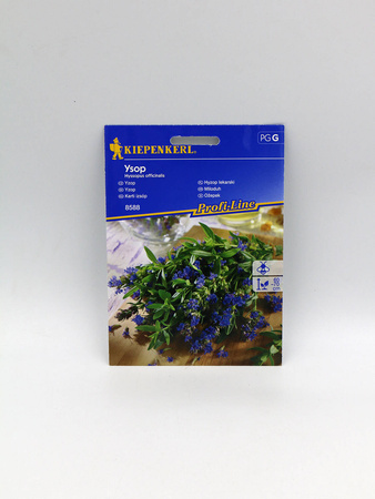 Hyzop Lekarski 'Ysop' – Kiepenkerl