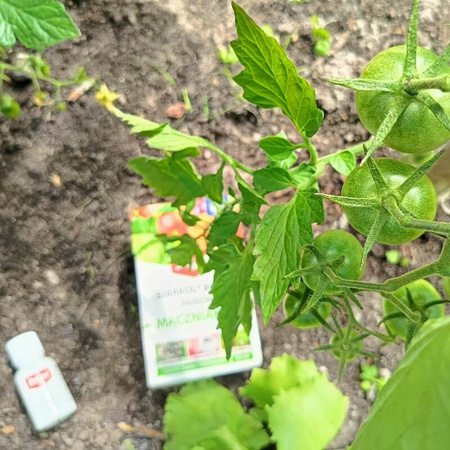 Siarkol 800 SC – zapobiega mączniakom roślin – 25 ml Target