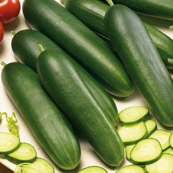 Ogórek Sałatkowy 'Johanna' – Kiepenkerl