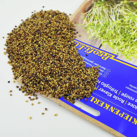 Koniczyna – Nasiona Na Kiełki – Kiepenkerl