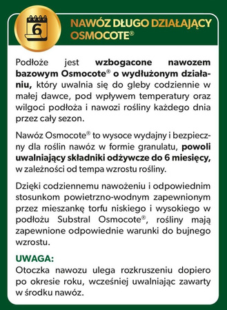 Podłoże Do Paproci – 3 l Substral