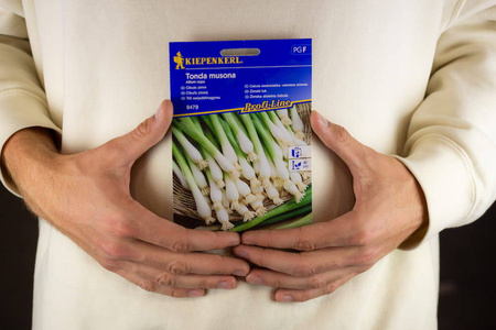 Cebula Siedmiolatka 'Tonda Musona' – Zimowa – Kiepenkerl