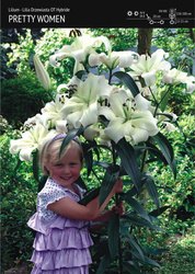 Lilia Drzewiasta 'Pretty Women' – 1 szt .