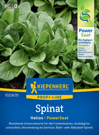 Szpinak Helios F1, nasiona otoczkowane Kiepenkerl