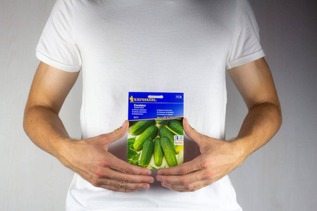 Ogórek Gruntowy 'Excelsior' F1 – Konserwowy – Kiepenkerl