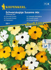 Tunbergia Oskrzydlona – Mix Nasion – Kiepenkerl