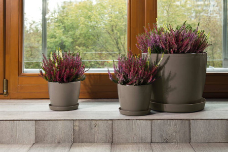 Osłonka Doniczka Ø155 mm Magnolia – Mokka – Lamela