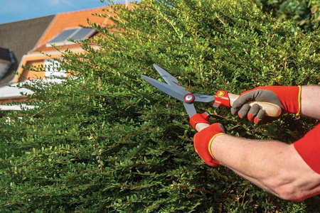 Nożyce Do Bukszpanu – Wolf Garten