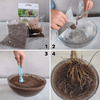 Mikoryza Ectovit – Do Iglaków – 300 g Symbiom