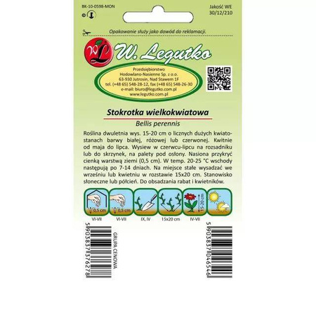 Stokrotka Wielkokwiatowa – Mix Kolorów – Legutko 