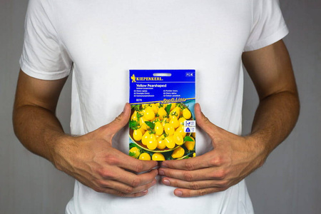 Pomidor Cherry 'Yellow Pearshaped' – Kiepenkerl