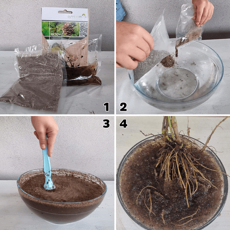 Mikoryza Ectovit – Do Iglaków – 300 g Symbiom