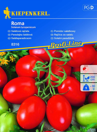 Pomidor 'Roma VF' – Rzymski – Kiepenkerl