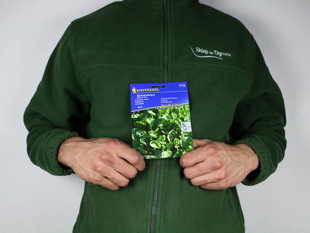 Gorczycznik Wiosenny 'Barbarakraut' – Kiepenkerl