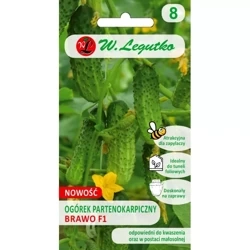 Ogórek 'Brawo' F1 – 2 g Legutko