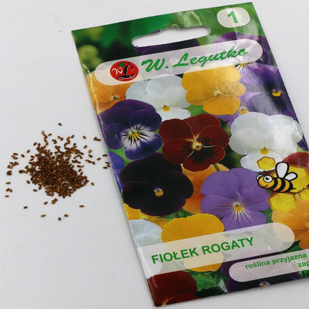  Fiołek Rogaty – Mix Kolorów – Legutko
