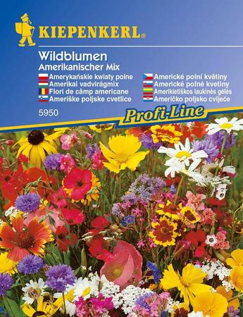 Dzikie Kwiaty Polne – Mix Nasion – Kiepenkerl